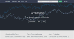 Desktop Screenshot of datagrapple.com