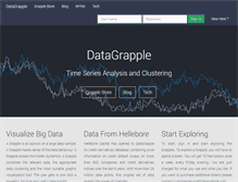 Tablet Screenshot of datagrapple.com